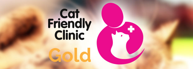 Cat Friendly Gold Clinic